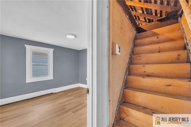 51 Levinson Ave, South River, NJ 08882 - photo 14