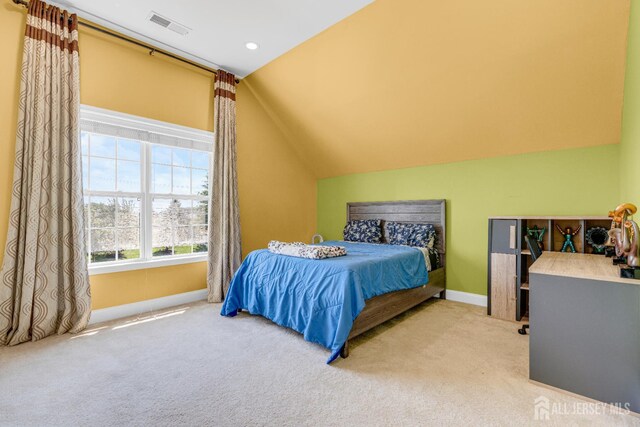 27 Greylynne Dr, Monroe, NJ 08831 - photo 49