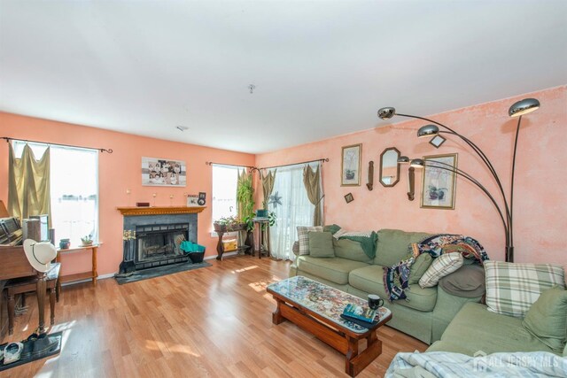 living room with light wood-type flooring