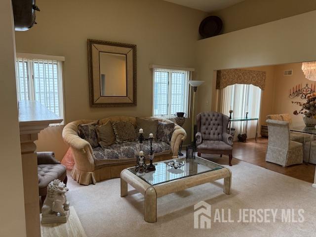 102 Leeds Ln, Monroe, NJ 08831 - living area with healthy amount of natural light and a towering ceiling