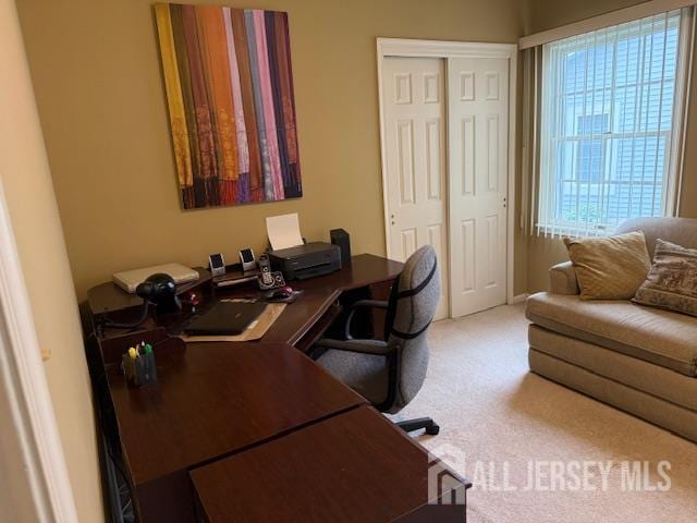 102 Leeds Ln, Monroe, NJ 08831 - office with carpet flooring