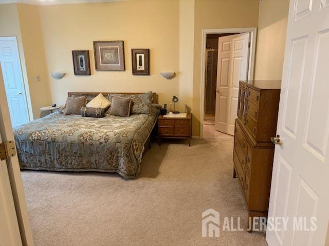 102 Leeds Ln, Monroe, NJ 08831 - bedroom with carpet