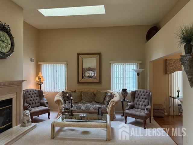 102 Leeds Ln, Monroe, NJ 08831 - living area featuring a skylight and a glass covered fireplace