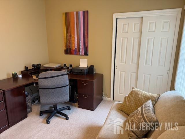 102 Leeds Ln, Monroe, NJ 08831 - view of carpeted office