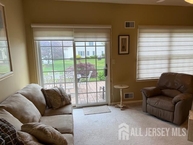 102 Leeds Ln, Monroe, NJ 08831 - living room with healthy amount of natural light, carpet floors, and a ceiling fan