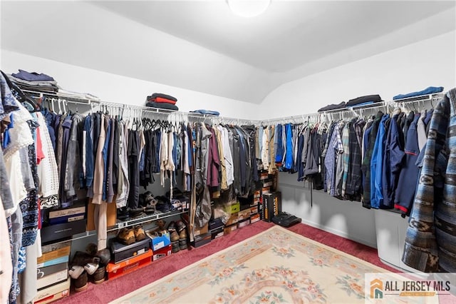 21 Tanglewood Pl, Monroe, NJ 08831 - spacious closet with lofted ceiling and carpet floors