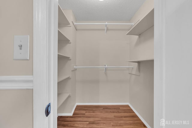 19 Albury Way N, Brunswick, NJ 08902 - spacious closet with wood finished floors