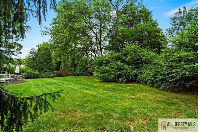 1 Eileen Ct, East Brunswick, NJ 08816 - view of grassy yard