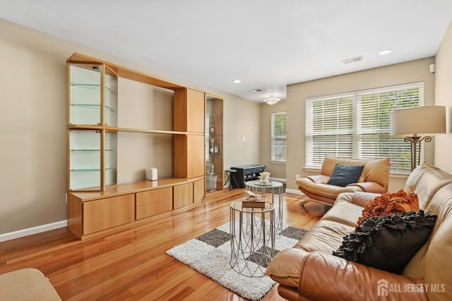 44 Windsong Cir E, Brunswick, NJ 08816 - living room with light wood-style flooring and recessed lighting