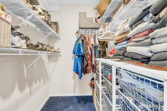 47 Park Gate Dr, Edison, NJ 08820 - walk in closet with carpet floors