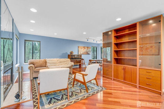 47 Park Gate Dr, Edison, NJ 08820 - living room featuring light wood-style floors and recessed lighting