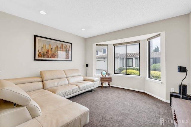 47 Park Gate Dr, Edison, NJ 08820 - carpeted living area with baseboards and recessed lighting