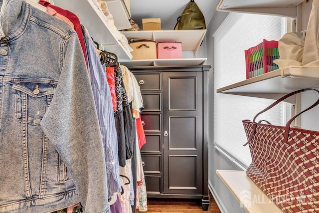61 Lynn Ct, North Brunswick, NJ 08902 - walk in closet with wood finished floors and a sink