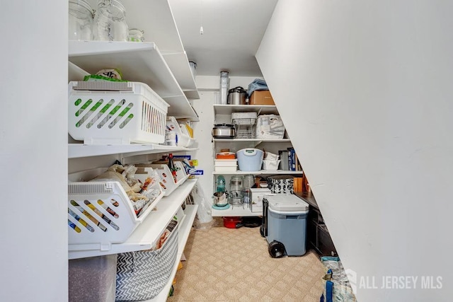 61 Lynn Ct, North Brunswick, NJ 08902 - view of storage area