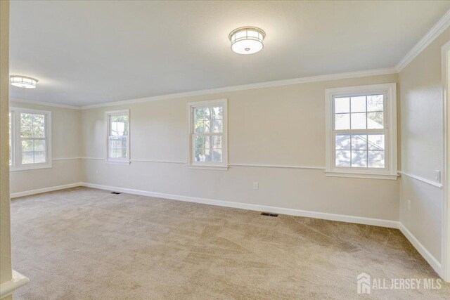 empty room with light colored carpet and ornamental molding