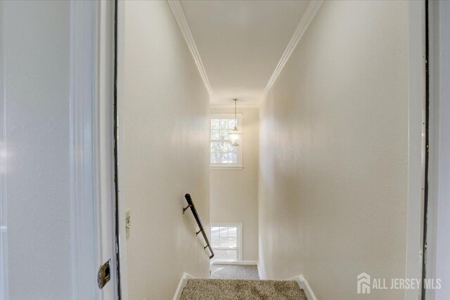 stairs featuring a notable chandelier and ornamental molding