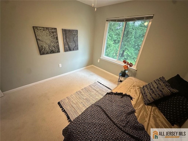 134 Hampshire Dr, Plainsboro, NJ 08536 - carpeted bedroom with baseboards