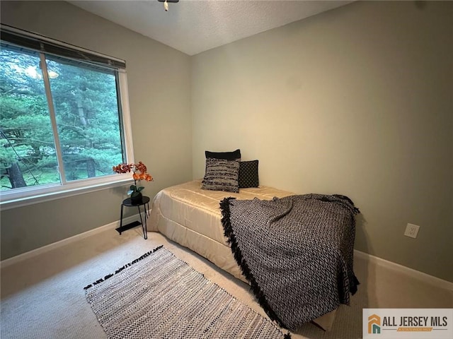 134 Hampshire Dr, Plainsboro, NJ 08536 - carpeted bedroom with baseboards