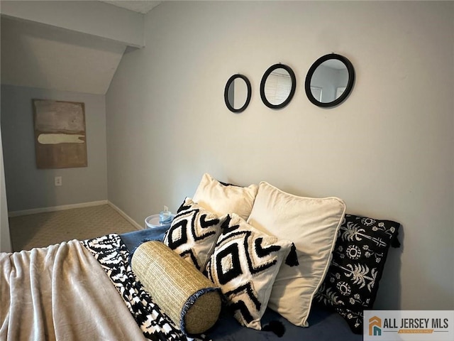 134 Hampshire Dr, Plainsboro, NJ 08536 - carpeted bedroom featuring lofted ceiling and baseboards