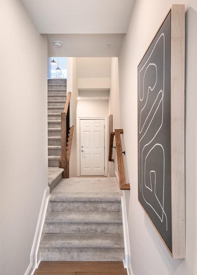 staircase with hardwood / wood-style floors