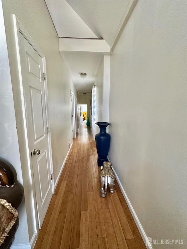 428 Broadhead Pl, Perth Amboy, NJ 08861 - hall featuring baseboards and hardwood / wood-style flooring