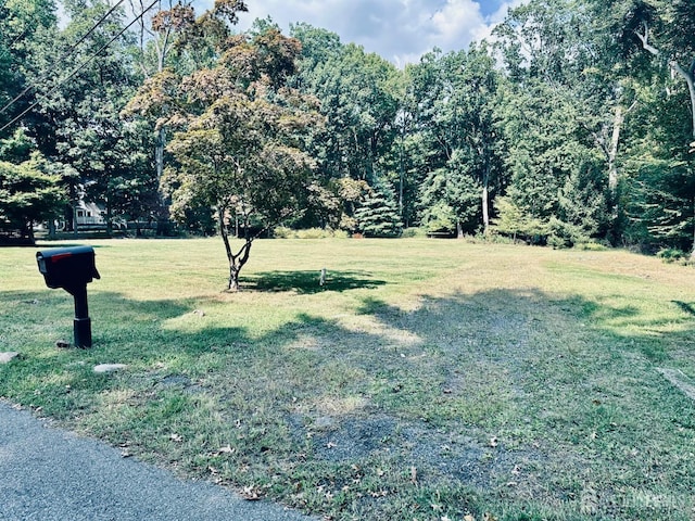 82 Ravine Dr, Colonia, NJ 07067