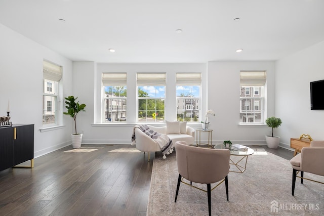 1617 Swales Ct, Monroe, NJ 08831 - living room with plenty of natural light, wood-type flooring, baseboards, and recessed lighting