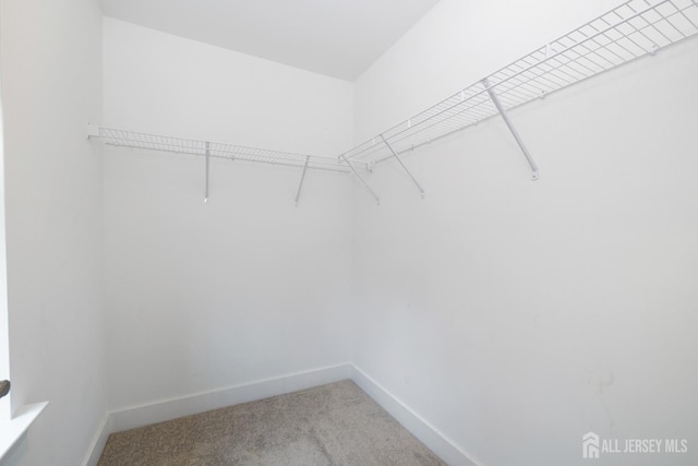 1617 Swales Ct, Monroe, NJ 08831 - walk in closet with carpet floors