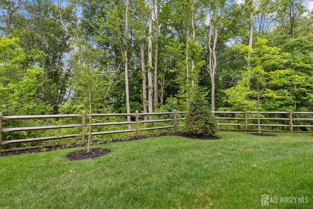 1617 Swales Ct, Monroe, NJ 08831 - view of yard