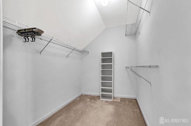 57 Cortland Dr N, East Brunswick, NJ 08816 - walk in closet with vaulted ceiling and carpet floors