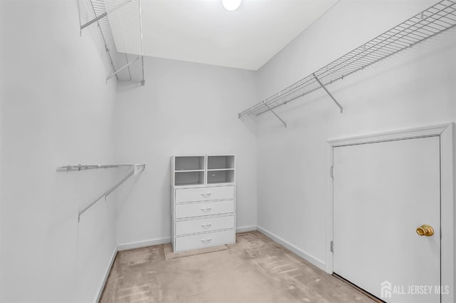 57 Cortland Dr N, East Brunswick, NJ 08816 - walk in closet featuring carpet