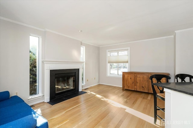 living room featuring ornamental molding and light hardwood / wood-style flooring