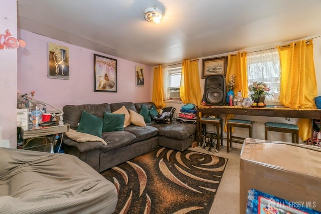185 Redmond St, New Brunswick, NJ 08901 - carpeted living room with plenty of natural light