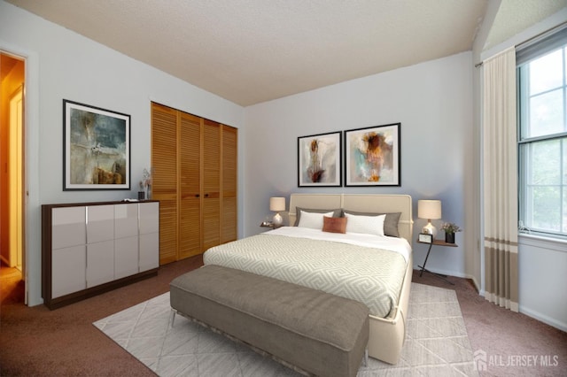 125 Albury Way N, Brunswick, NJ 08902 - bedroom with carpet floors, a closet, multiple windows, and baseboards