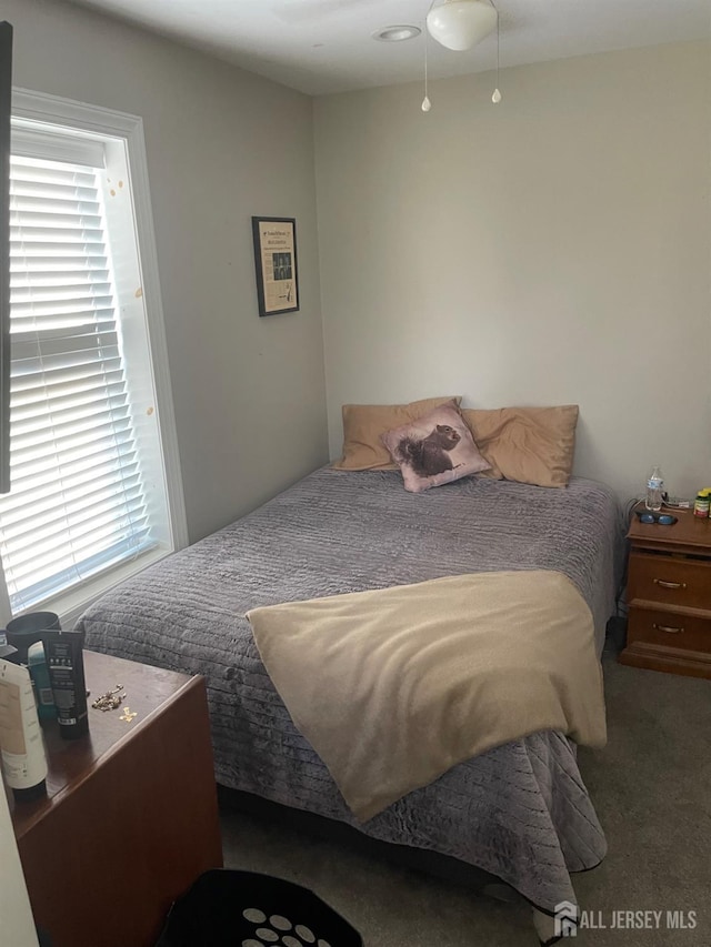 205 Water St, Perth Amboy, NJ 08861 - view of carpeted bedroom