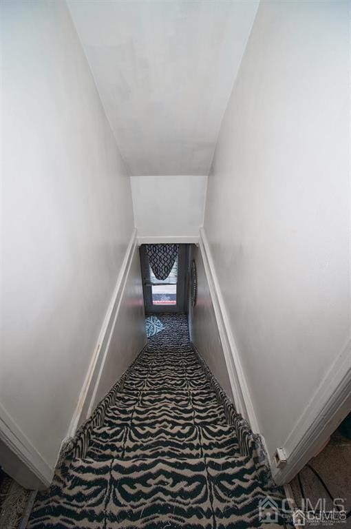 stairway featuring carpet flooring