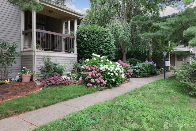123-G Concordia Cir Unit G, Monroe, NJ 08831 - view of yard
