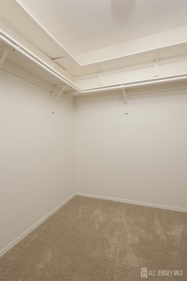123-G Concordia Cir Unit G, Monroe, NJ 08831 - spacious closet featuring carpet floors