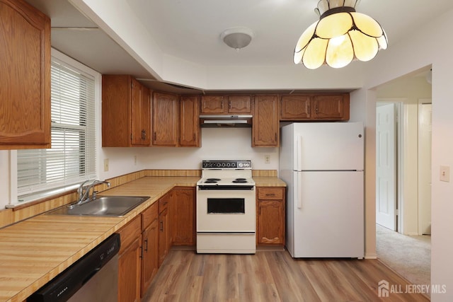 123-G Concordia Cir Unit G, Monroe, NJ 08831 - kitchen with white appliances, under cabinet range hood, light countertops, brown cabinets, and light wood finished floors