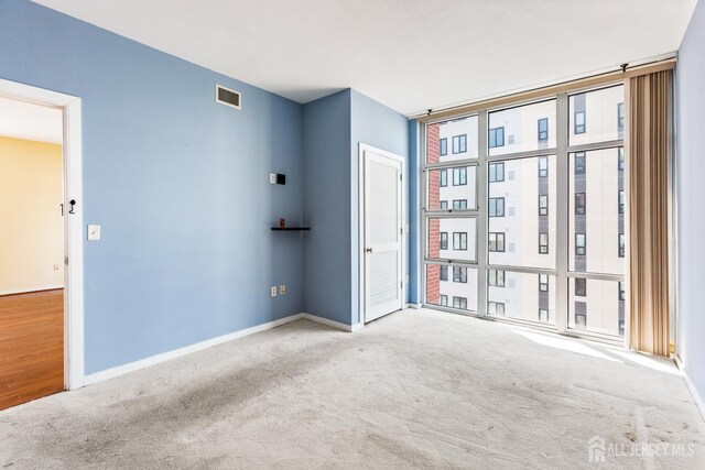20 Livingston Ave Unit 902, New Brunswick, NJ 08901 - spare room with floor to ceiling windows and carpet flooring