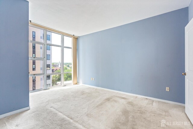 20 Livingston Ave Unit 902, New Brunswick, NJ 08901 - carpeted spare room with floor to ceiling windows and baseboards