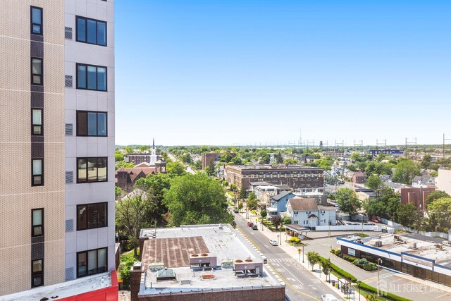 20 Livingston Ave Unit 902, New Brunswick, NJ 08901 - city view