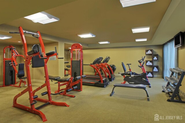20 Livingston Ave Unit 902, New Brunswick, NJ 08901 - exercise room with carpet flooring