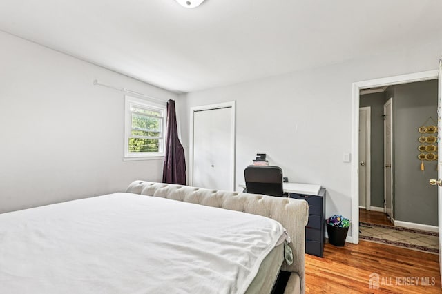 16 Kerschner Ln, East Brunswick, NJ 08816 - bedroom featuring light wood-type flooring and a closet