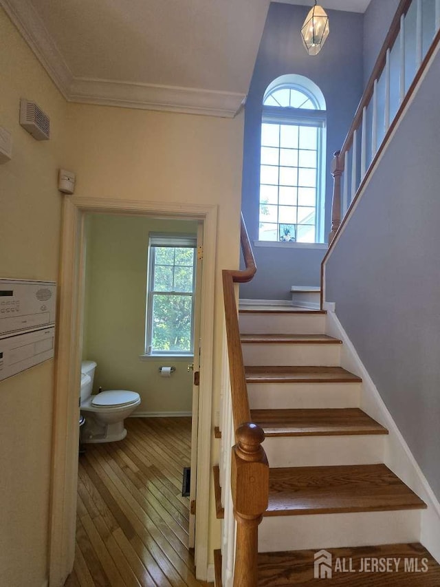 3 Great Beds Way S, Amboy, NJ 08879 - staircase with wood-type flooring, crown molding, and baseboards