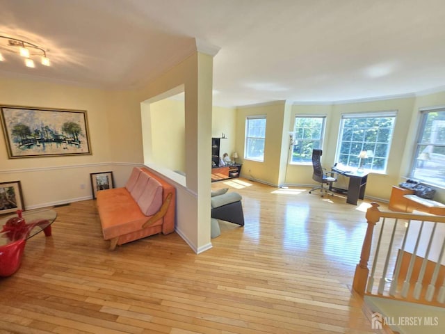 3 Great Beds Way S, Amboy, NJ 08879 - sitting room featuring light wood finished floors, baseboards, rail lighting, and crown molding