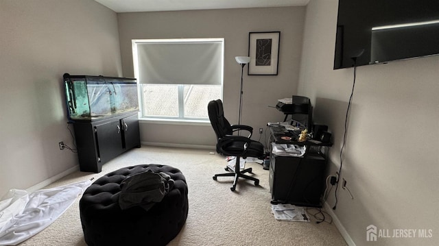 office space featuring baseboards and carpet floors