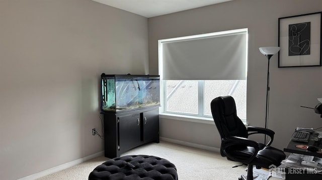 office space featuring light carpet and baseboards