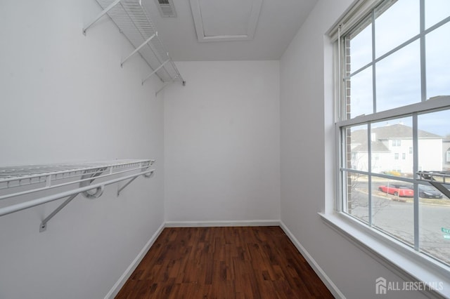 walk in closet featuring visible vents and dark wood-style flooring