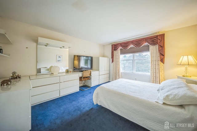 14 Greensview Dr, Scotch Plains, NJ 07076 - view of carpeted bedroom